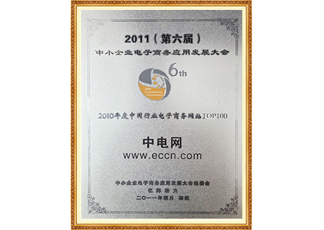 2010年度中国行业电子商务网站TOP100